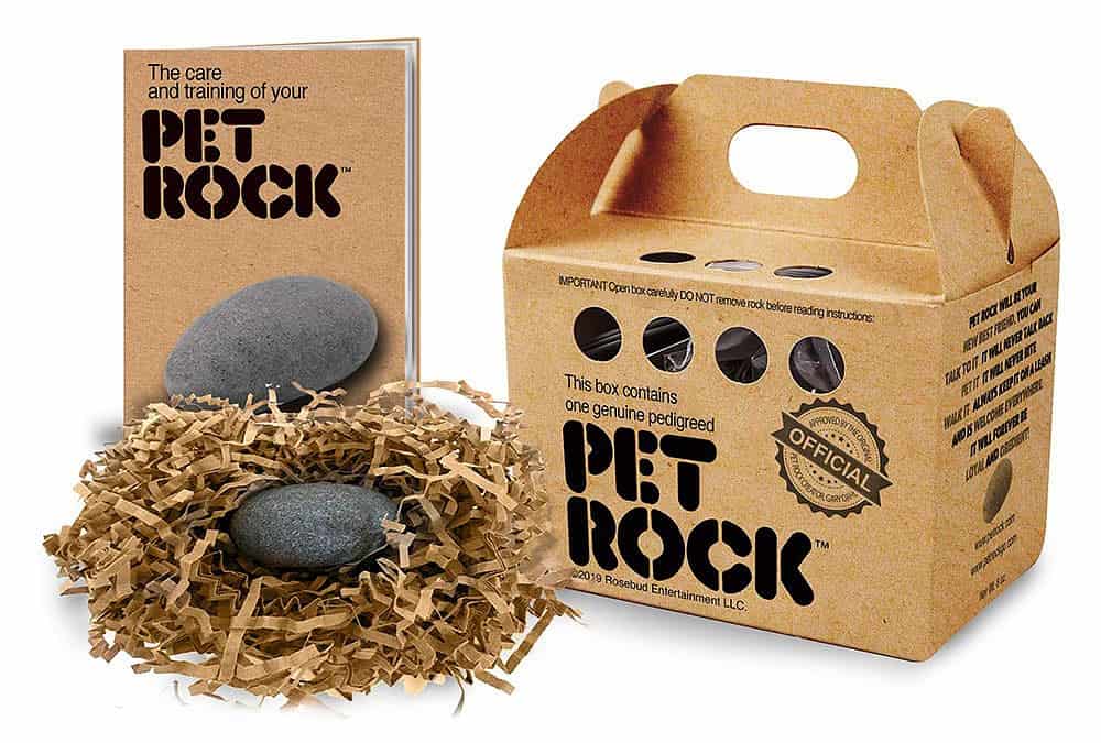 Gary Dahl Invention of the Pet Rock